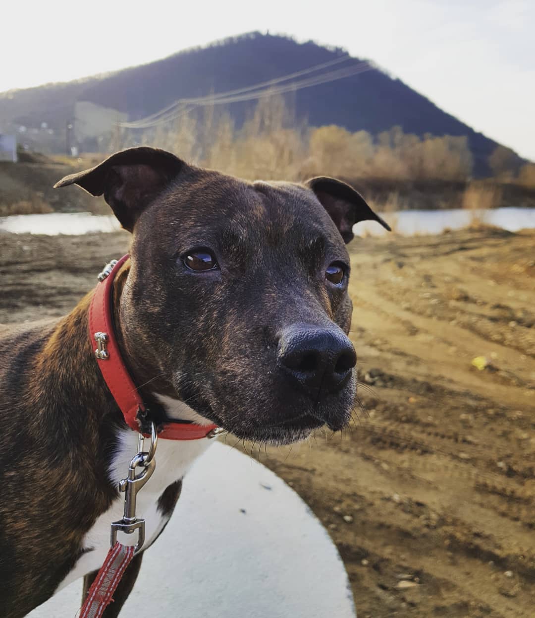 Nothing is like the smell of fresh air ADEW Pets Centre